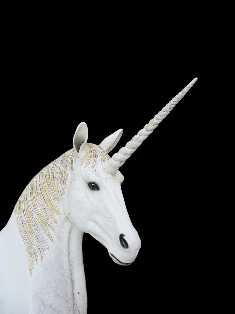 Unicorn Rides